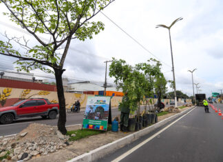 Atenção para últimos dias de inscrição nos concursos da CGM e Semmas em Manaus