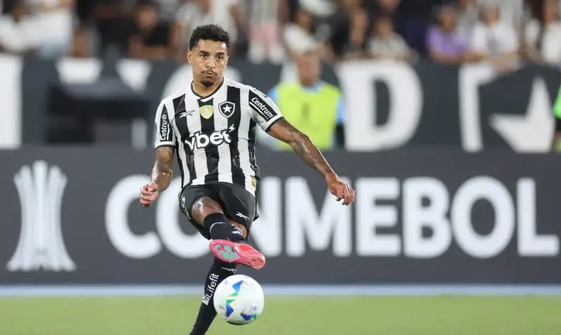 Botafogo na libertadores