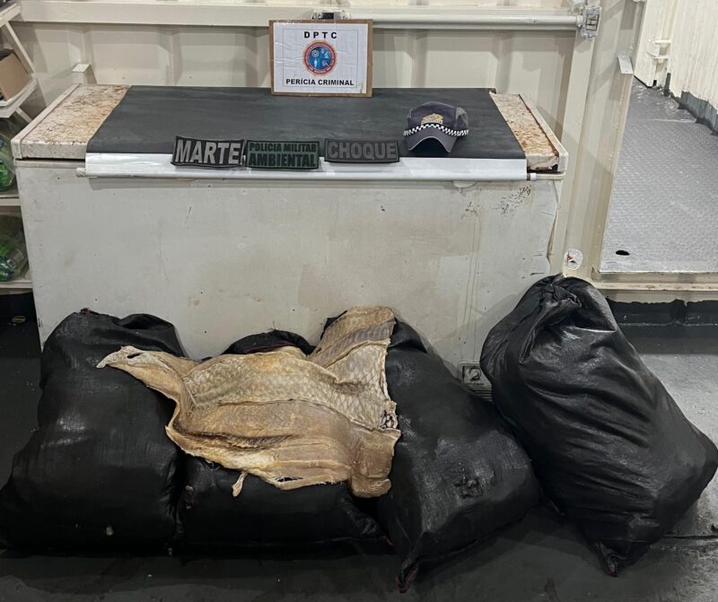 BASE_ARPÃO_PMAM_APREENDE_210_KG_DE_PIRARUCU_TRANSPORTADO_ILEGALMENTE_FOTOS_DIVULGAÇÃO_SSP_AM