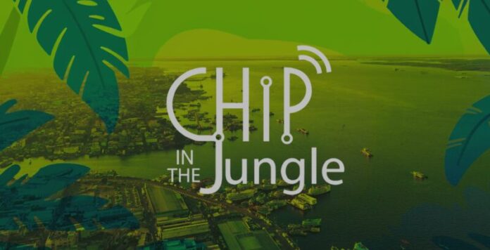 Chip in the Jungle