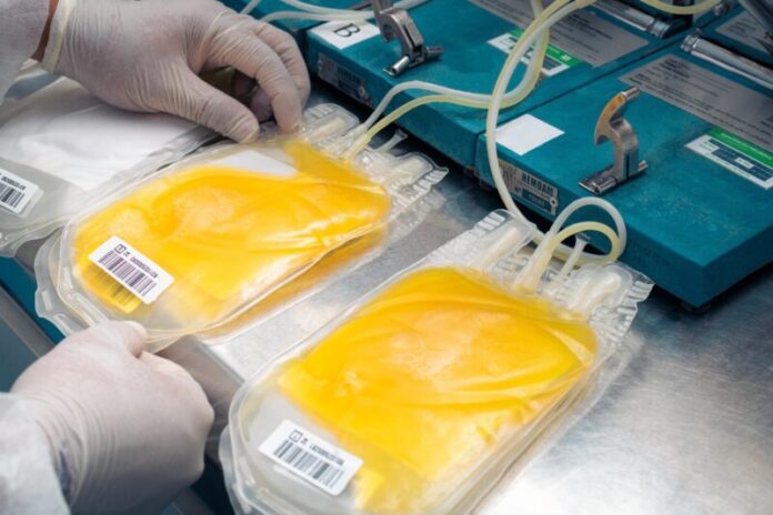 Hemoam conquista credenciamento internacional 1