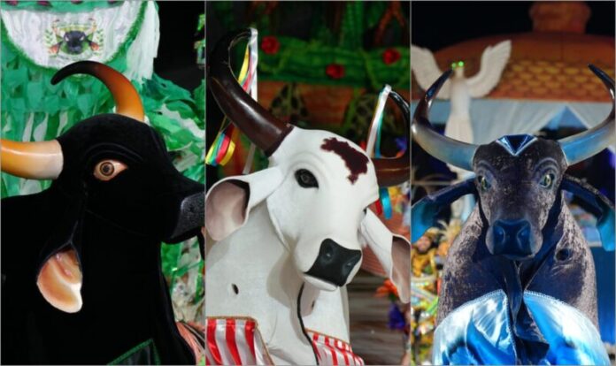 festival folclórico do amazonas