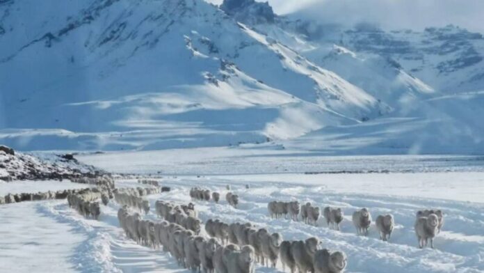 inverno patagonia
