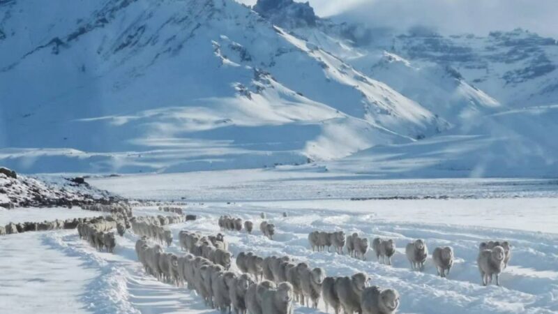 inverno patagonia