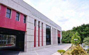TCE-AM promove Semana C para ampliar acesso à Carta de Serviços e fortalecer transparência