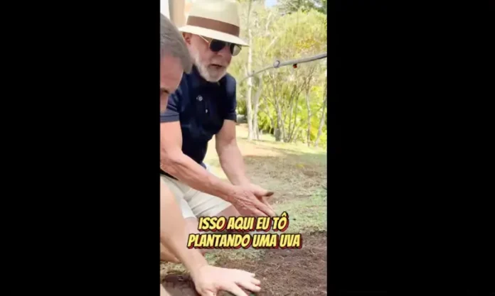© Frame Lulaoficial