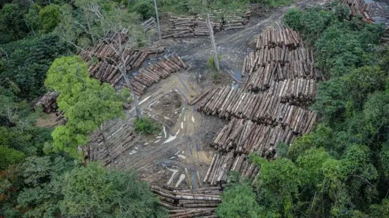 Desmatamento Imagem “Terra Indígena Pirititi, Roraima” por Felipe Werneck:Ibama