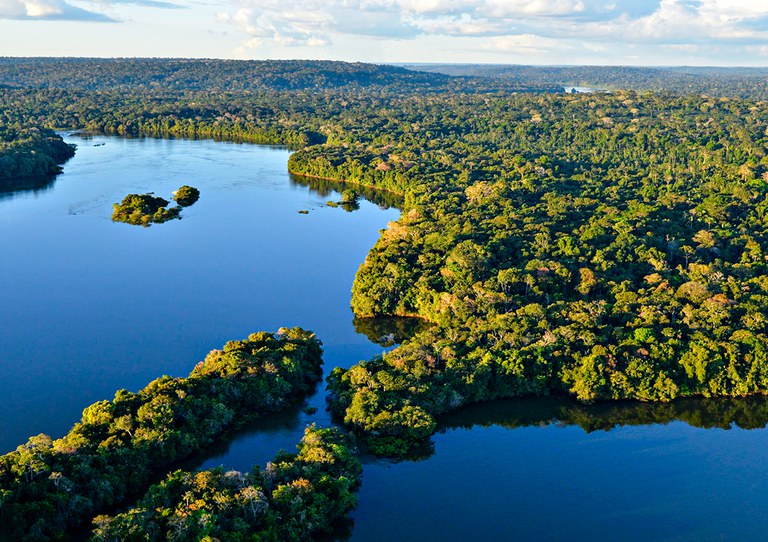 Amazônia, Mata, Floresta