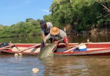 Câmara derruba mudanças do Senado na MP do Seguro-Defeso