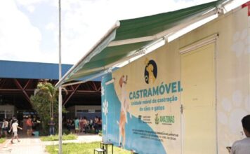 Castramóvel da Sepet-AM atende o bairro Jorge Teixeira com castração gratuita