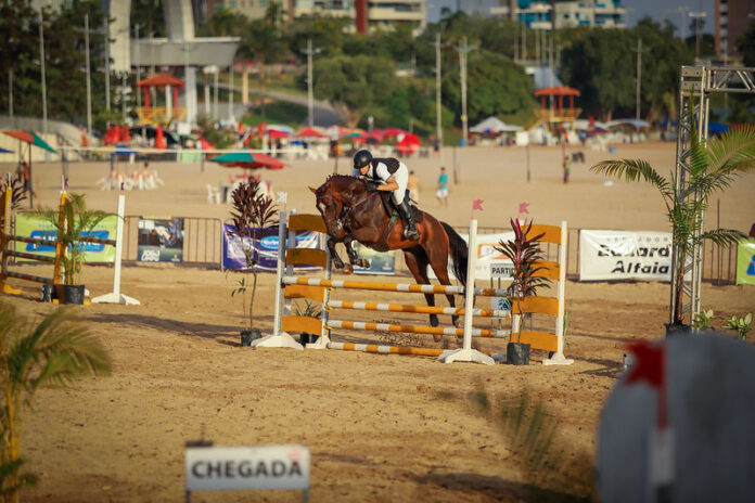 Hipismo praia da ponta negra cavalo