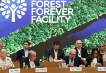 Fundo Florestas Tropicais ganha apoio político, mas doações ainda são tímidas