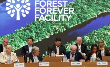 Fundo Florestas Tropicais ganha apoio político, mas doações ainda são tímidas