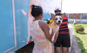 Silves recebe Castramóvel para castração gratuita de cães e gatos pela primeira vez