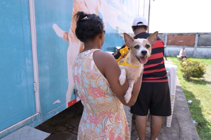 vacinação animal PEt cachorro