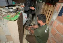 Mais de 20 animais são resgatados de canil clandestino em Manaus