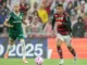 CBF define rodadas finais iguais para Flamengo e Palmeiras no Brasileirão