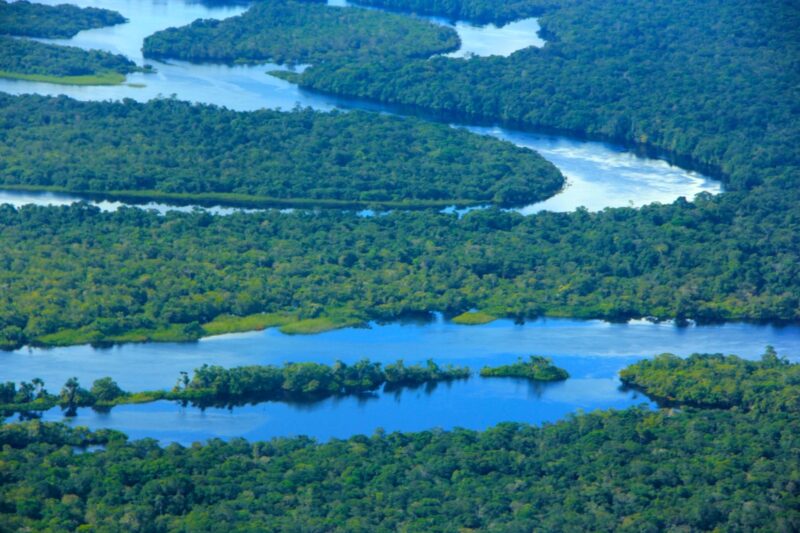 Floresta amazonica mata rio biodiversidade