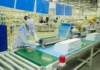 Desemprego cai para 5,2% e população ocupada atinge recorde no Brasil