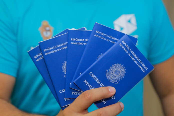 Carteira de Trabalho, CTPS sine emprego