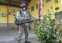 Manaus acende alerta: seis bairros entram em alto risco para o Aedes aegypti