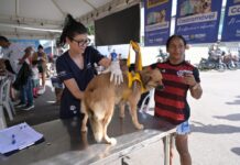Castramóvel chega ao Educandos com vagas gratuitas para cães e gatos