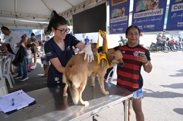 Castramóvel atendimento