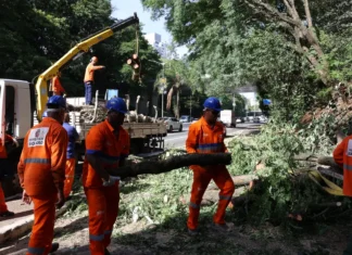 Ventos de quase 100 km/h deixam 1,5 milhão sem energia na Grande São Paulo