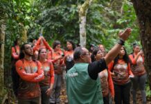 Ipaam capacita universitários de três estados em legislação ambiental sobre fauna