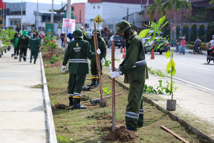 Prefeitura de Manaus atinge marca histórica com plantio de mais de 30 mil mudas no ano