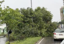 Chuvas desta sexta-feira mobilizam equipes de pronto atendimento em toda Manaus neste Sábado