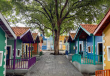 Parque Cidade da Criança recebe programação gratuita para o Dia das Crianças