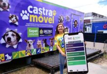 Amazonas lança aplicativo para castração de pets e denúncias de maus-tratos