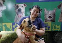 Amazonas ganha 6º Castramóvel e amplia castrações gratuitas