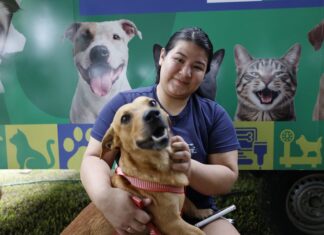 Amazonas ganha 6º Castramóvel e amplia castrações gratuitas