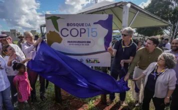 COP15 em Campo Grande deixa legado ambiental e mobiliza população