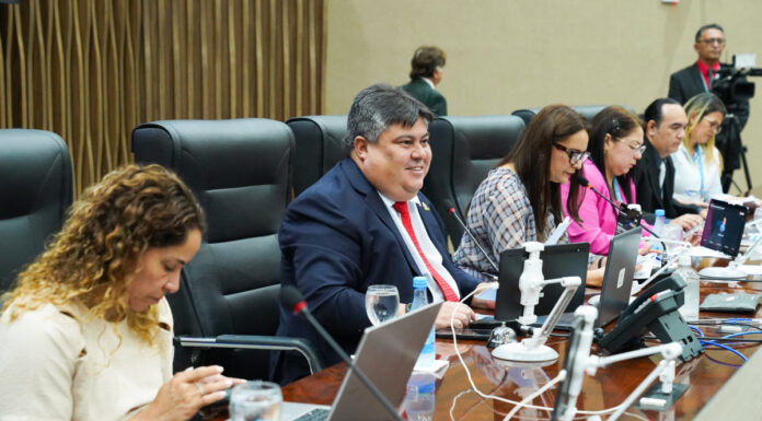 CMM debate câmeras em vans escolares e app de proteção para mulheres