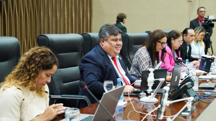 Câmara Municipal de Manaus debate câmeras em vans escolares e app ‘SOS Mulher’ (1)