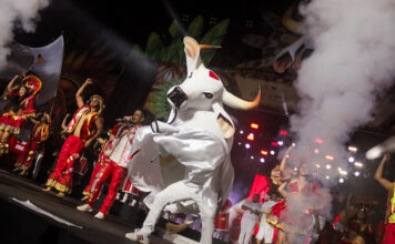 Curral do Garantido reúne multidão e marca 30 anos do MAG na capital