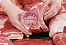 União Europeia exclui Brasil de lista sanitária e ameaça exportações bilionárias de carnes