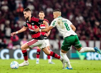Flamengo perde para o Palmeiras no Maracanã e vê sequência acabar no Brasileirão