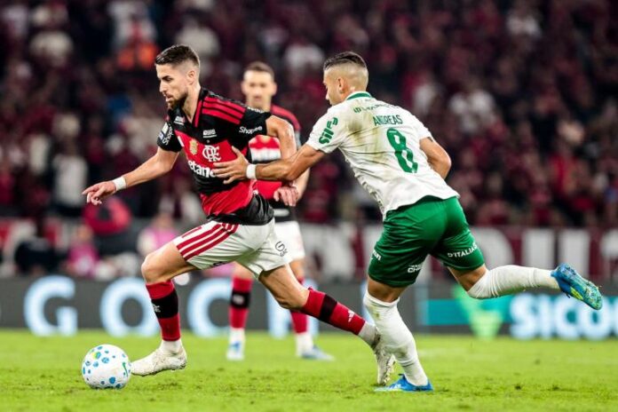 Flamengo x palmeiras. FOto gilvan de Souza