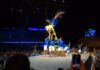 Festival de Parintins 2026: Torcida lota arquibancadas e embala último ensaio técnico do Caprichoso no Bumbódromo