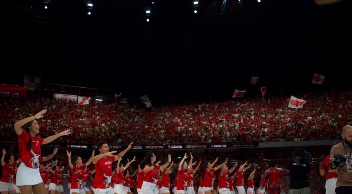 Festival de Parintins 2026: Garantido leva emoção ao Bumbódromo em ensaio técnico aberto ao público
