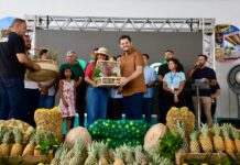 Renato Junior entrega 8 toneladas de alimentos e amplia apoio à agricultura familiar