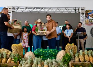 Renato Junior entrega 8 toneladas de alimentos e amplia apoio à agricultura familiar