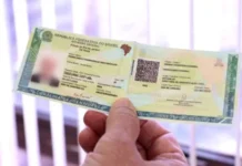 Nova Carteira de Identidade Nacional: veja onde emitir a CIN em Manaus a partir desta segunda-feira