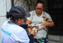 CCZ avança na vacinação antirrábica e imuniza mais de mil animais na zona rural fluvial