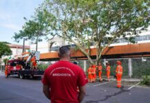 Podagem preventiva no entorno da CMM amplia segurança e preserva patrimônio