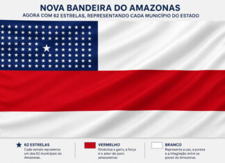 ALEAM aprova atualização da bandeira do Amazonas representando os 62 municípios, veja como pode ficar